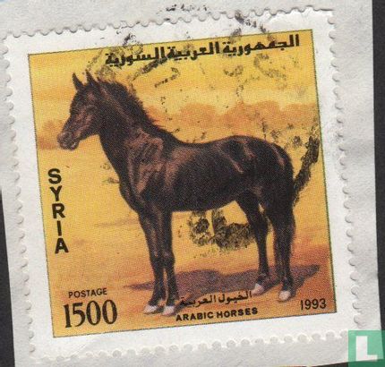 Arabische Paarden