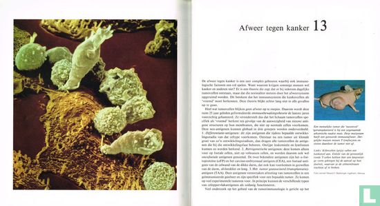 Immunologie - Image 3