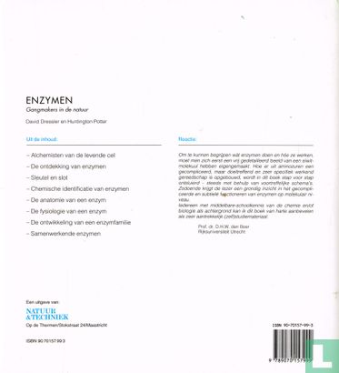 Enzymen - Bild 2