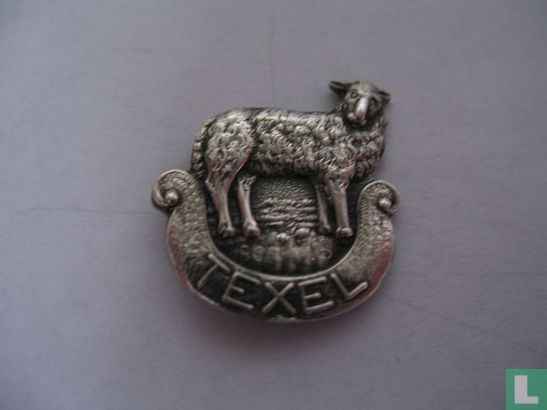 Texel (sheep type 1)