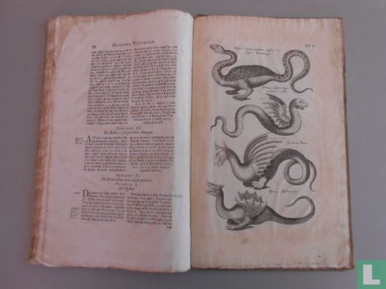 Historiae Naturalis de Serpentibus - Afbeelding 3