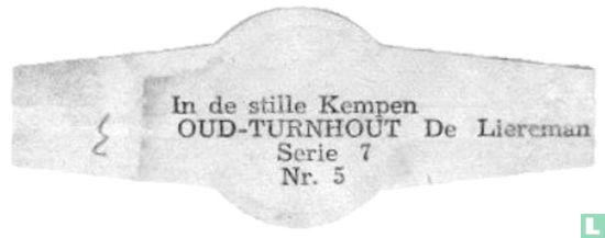 Oud Turnhout - De Liereman - Afbeelding 2