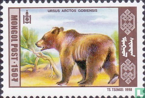 Gobi bear