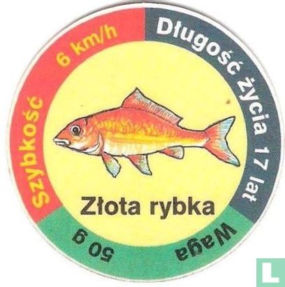 Ztota rybka - Afbeelding 1