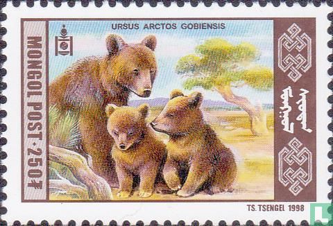 Gobi bear