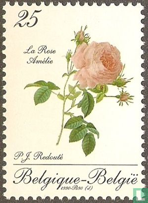 La Rose Amélie