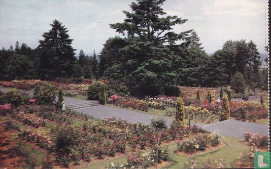 Washington Park rose garden Portland - Image 1
