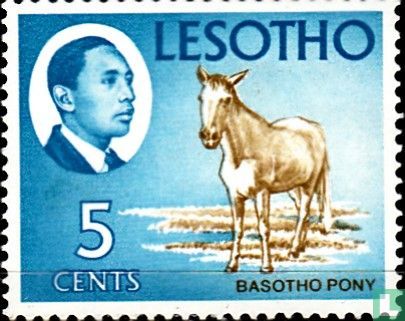 Basotho-Pony