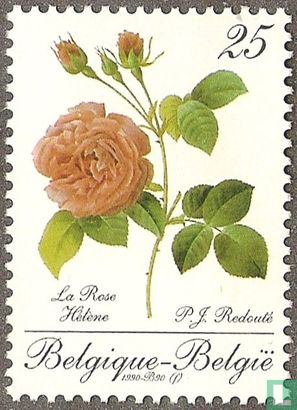 La Rose Hélène
