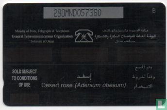 Desert Rose (Adenium Obesum) - Afbeelding 2