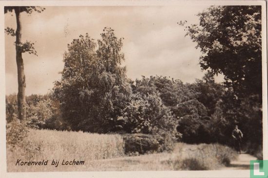 Korenveld bij Lochem - Bild 1