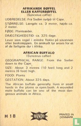 African buffalo - Image 2
