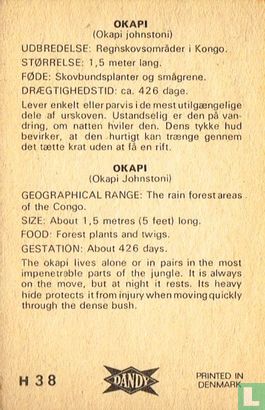 Okapi - Image 2