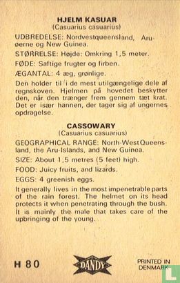 Cassowary - Afbeelding 2