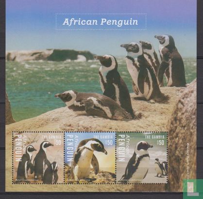 pingouins africains