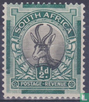 Springbok (English)