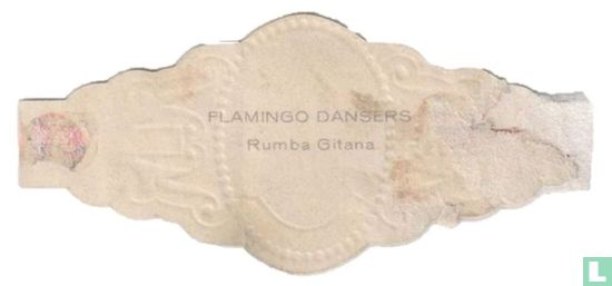 Rumba Gitana - Afbeelding 2