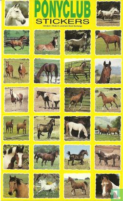 Ponyclub 447 - Afbeelding 3