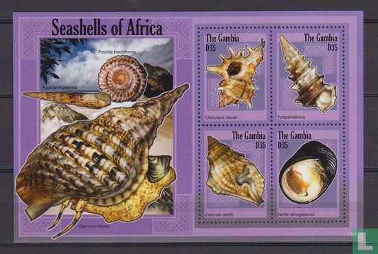 Muscheln aus Afrika