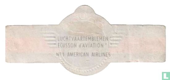 American Airlines - Image 2