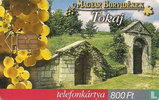 Winelands - Tokaj - Image 1