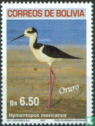 Vogels uit Oruro