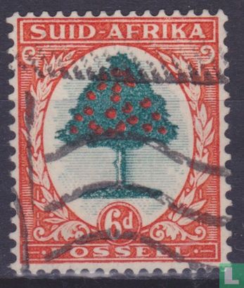 Orange Tree (Afrikaans)