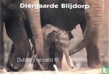 A000669 - Diergaarde Blijdorp