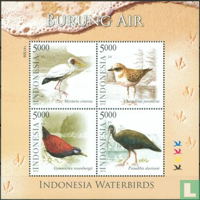 Indonesian seabirds