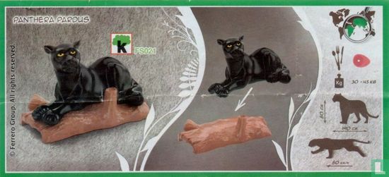 Black panther - Image 3