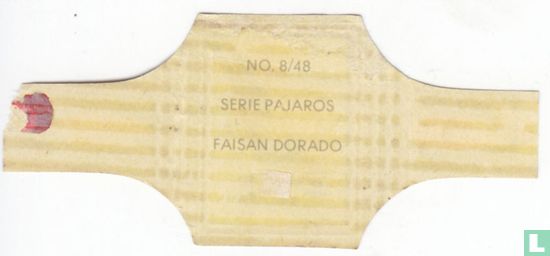 Faisan Dorado - Bild 2