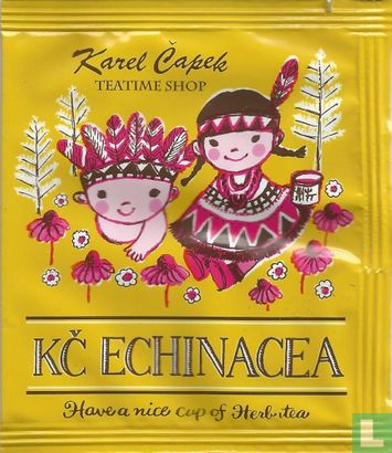 KC Echinacea  - Afbeelding 1