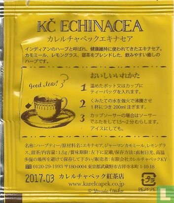 KC Echinacea  - Afbeelding 2