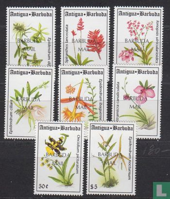 Des fleurs