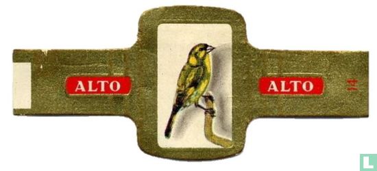 [Greenfinch] - Image 1