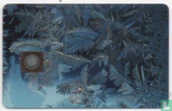 Winter - Afbeelding 2