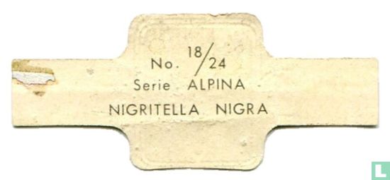 Nigritella nigra - Afbeelding 2