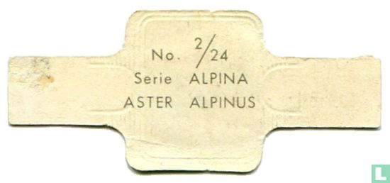 Aster alpinus - Bild 2
