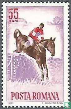 Steeplechase