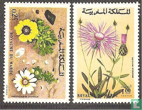 Marokkanischen Flora