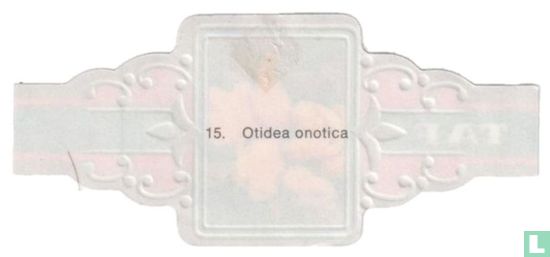 Otidea onotica - Afbeelding 2