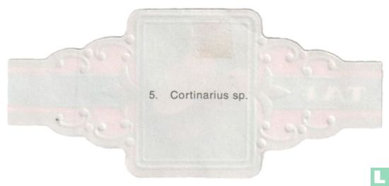 Cortinarius sp. - Image 2