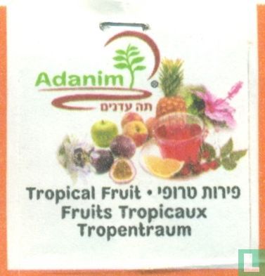 Tropical Fruit - Image 3