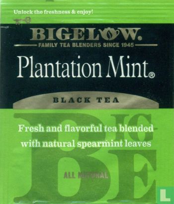 Plantation Mint [r]  - Bild 1