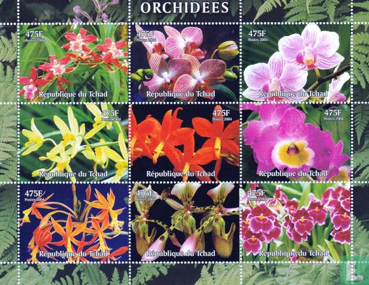 Orchidées