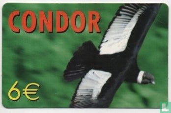 Condor - Image 1