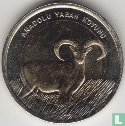 Turkey 1 türk lirasi 2015 "Anatolian Wild Sheep" - Image 2