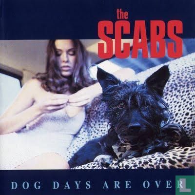 Dog Days Are Over - Image 1