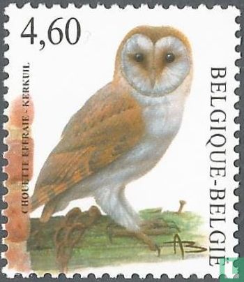 Barn owl - Image 1