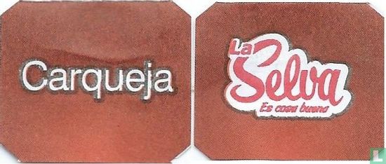 Carqueja - Image 3